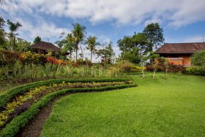 subak-tabola-1