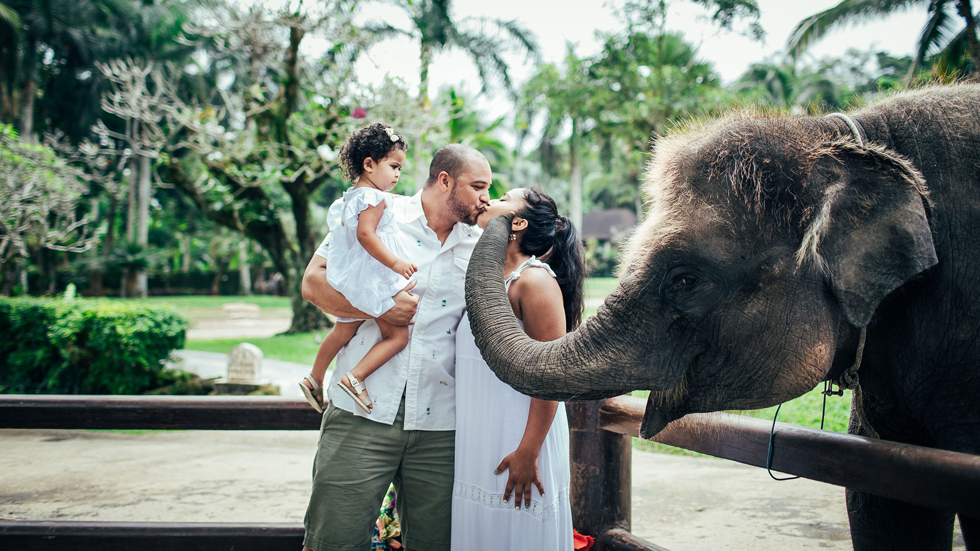 Angelica, her husband, and her 4 years old sweet daughter were on holiday in bali for 1 week. They wanted to have special memories with elephant...