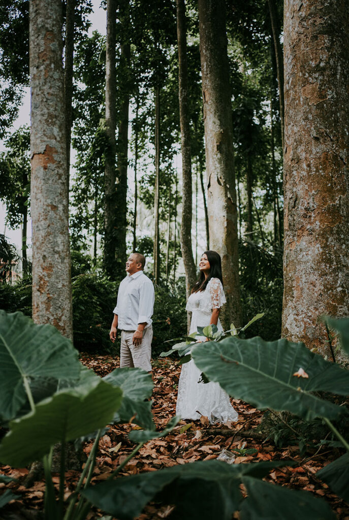 Sangeh Monkey Forest & Temple Bali