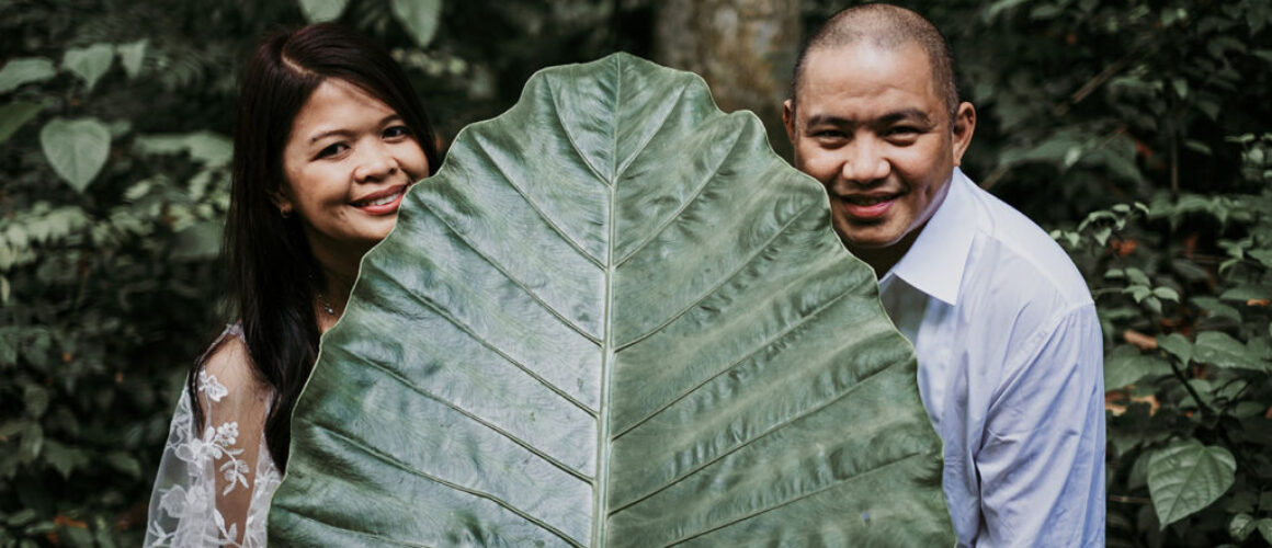 Sangeh Monkey Forest & Temple Bali