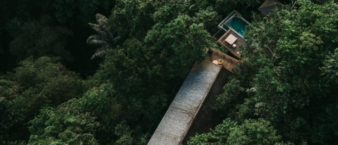 buahan-banyan-tree-31