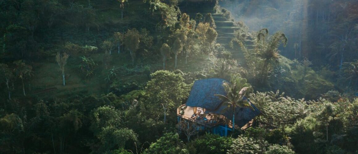 buahan-banyan-tree-38