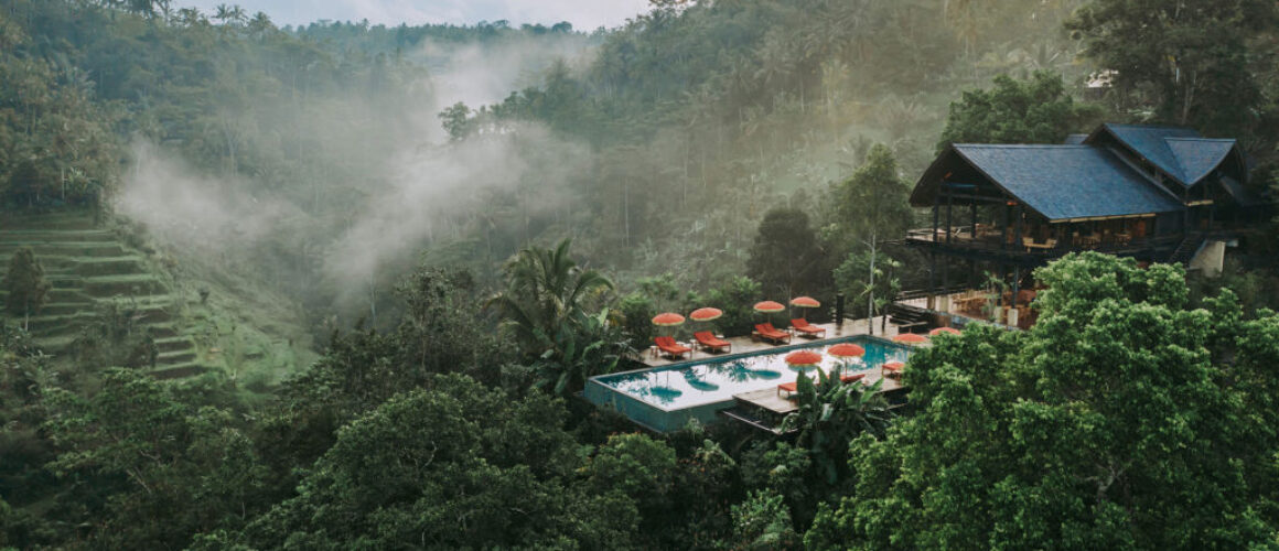 Buahan by Banyan Tree