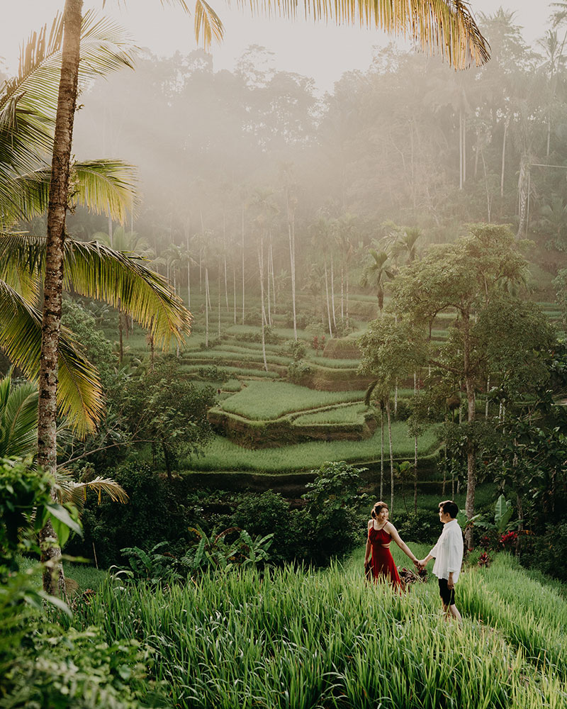 prewedding photoshoot -tegalalang rice terrace