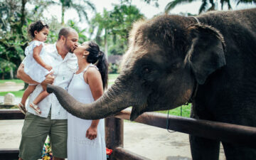 Family Photoshoot Bali Elephant Park