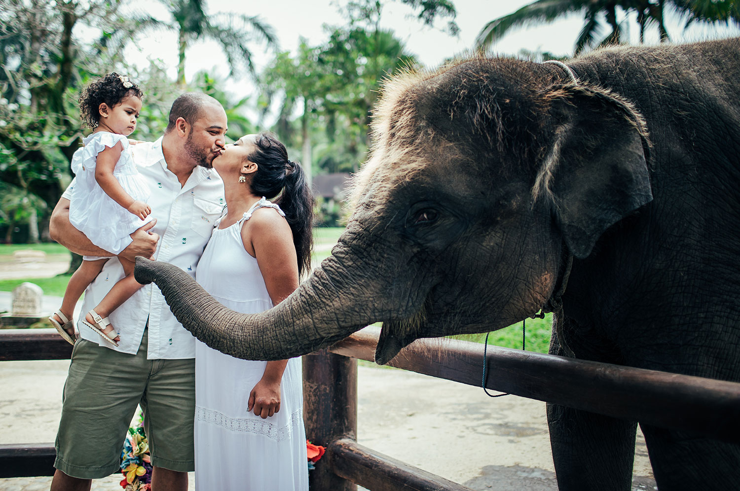 Family Photoshoot Bali Elephant Park