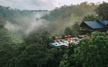 buahan-banyan-tree-header